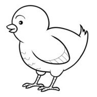 Coloring book (chicken) N5