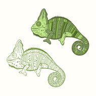 Set of chameleon isolated on white background