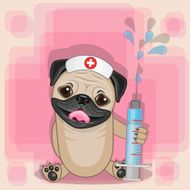Pug Dog nurse
