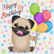 Pug Dog with balloons N2