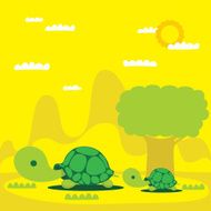 tortoise N2