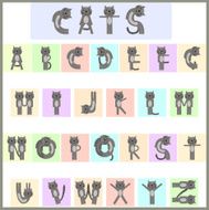 cat alphabet