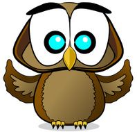 Baby Owl Cartoon