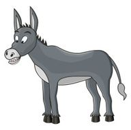 Donkey N5