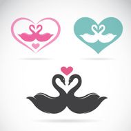 Vector image of two loving swans N2