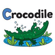 Little crocodile or alligator Alphabet C N2