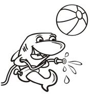 shark coloring book