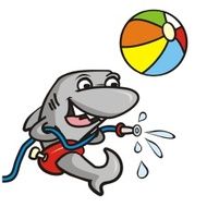 Shark and bath