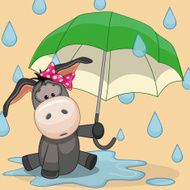 Donkey with umbrella
