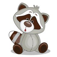 Raccoon N2