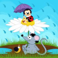 mouse ladybug snail hiding from rain