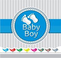 Baby boy arrival announcement card N8