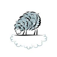 Sheep sketch for your design