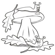 Mushroom and slug coloring book