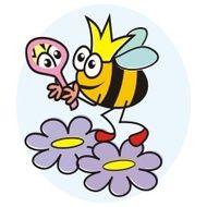 Bee and mirror