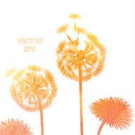 watercolor dandelion background N19