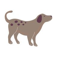 Dog N8