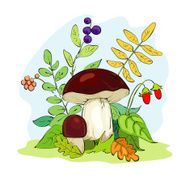 Mushroom