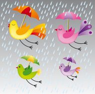 family of birds flying in the rain