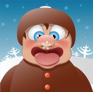 Snowflake hunt