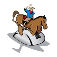 Horsing Around