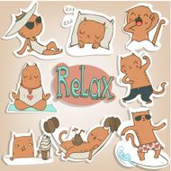 funny cats stickers