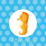cute sea horse