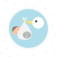 Stork Delivering A Newborn Baby