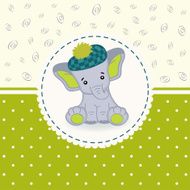 little elephant baby