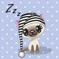 Sleeping cat N5