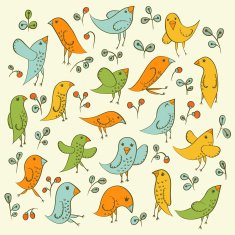 Birds N6