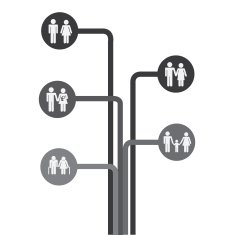 Family design N274