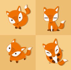 fox cute set
