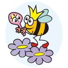 Bee and mirror