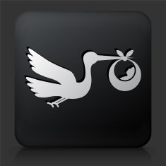 Black Square Button with Stork & Newborn
