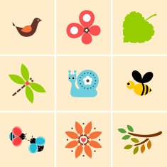 pretty summer elements