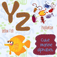 Sea very cute Alphabet marine set in vector Y and Z letter Yell