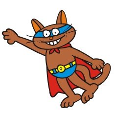 Tomcat - superman