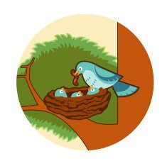 Bird's nest N2