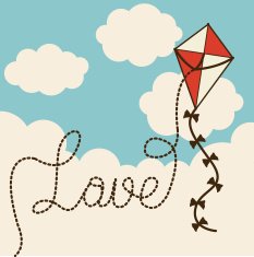 Kite design N17