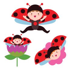 Ladybug babies