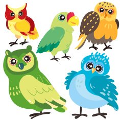 five birds on white background N2