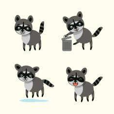 funny raccoon
