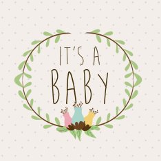 Baby shower design N323