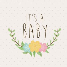 Baby shower design N326