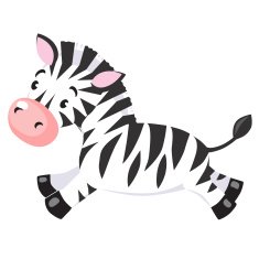 Little Zebra N2