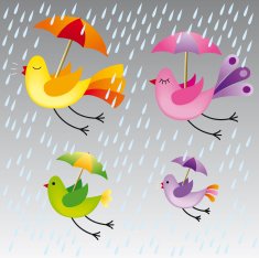 family of birds flying in the rain