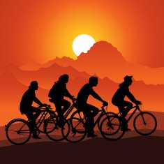 Bicycle tour