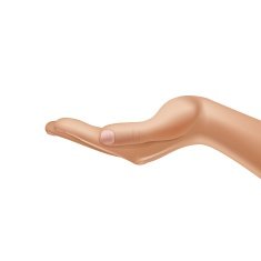Vector Male Hand Isolated on White Background N2