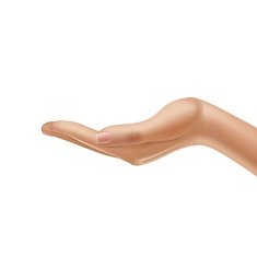 Vector Female Hand Isolated on White Background N2